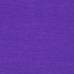 Crinkle Nylon Purple